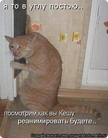 я то в углу постою.. ..посмотрим,как вы Кешу реанимировать будете..... Котоматрица: я то в углу постою.. ..посмотрим,как вы Кешу реанимировать будете..