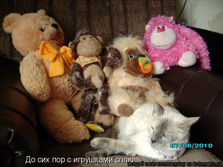 До сих пор с игрушками сплю... Котоматрица: До сих пор с игрушками сплю