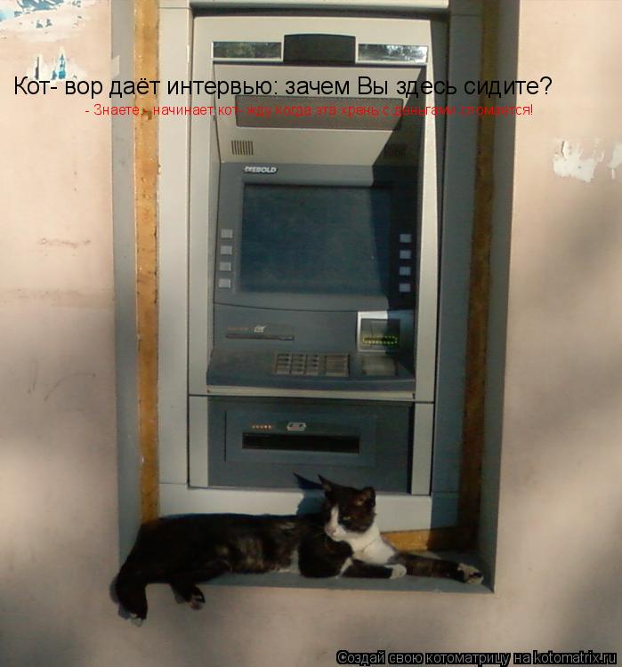 Кот- вор даёт интервью: зачем Вы здесь сидите? - Знаете,- начинает кот- жду когда эта хрень с деньгам... Котоматрица: Кот- вор даёт интервью: зачем Вы здесь сидите? - Знаете,- начинает кот- жду когда эта хрень с деньгами сломается!