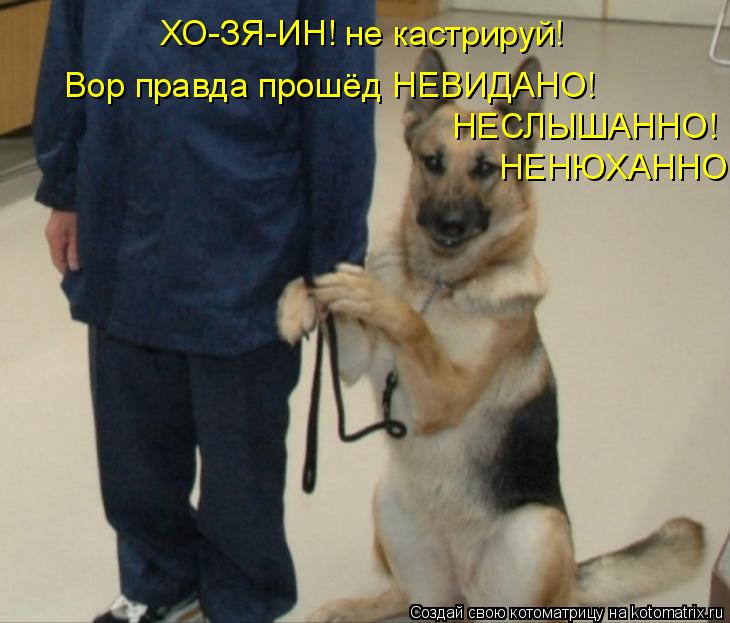 ХО-ЗЯ-ИН! не кастрируй! Вор правда прошёд НЕВИДАНО! НЕСЛЫШАННО! НЕНЮХАННО!... Котоматрица: ХО-ЗЯ-ИН! не кастрируй! Вор правда прошёд НЕВИДАНО! НЕСЛЫШАННО! НЕНЮХАННО!
