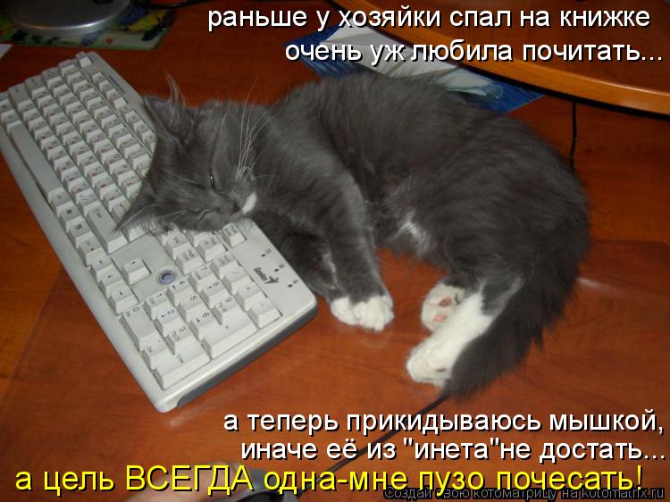 раньше у хозяйки спал на книжке очень уж любила почитать... а теперь прикидываюсь мышкой, иначе её из... Котоматрица: раньше у хозяйки спал на книжке очень уж любила почитать... а теперь прикидываюсь мышкой, иначе её из "инета"не достать... а цель ВСЕГДА одна-м
