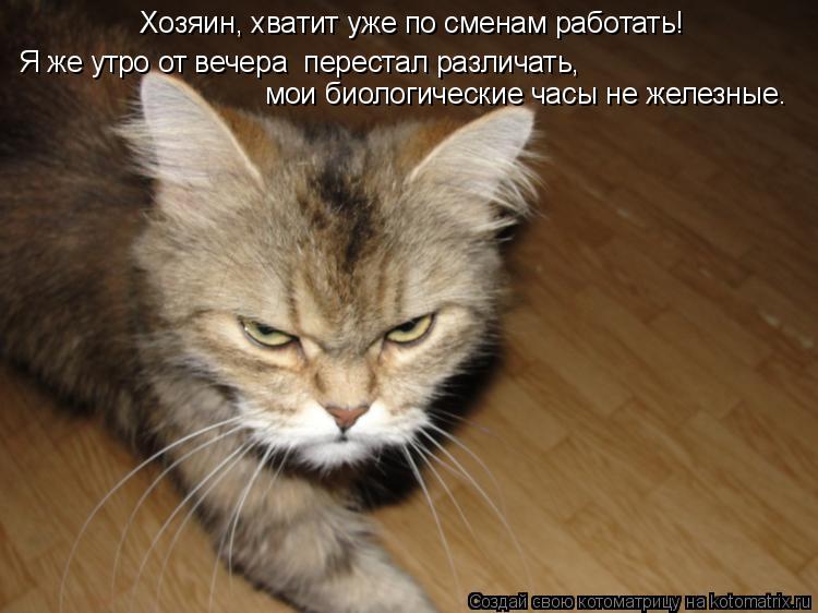 Хозяин, хватит уже по сменам работать! Я же утро от вечера перестал различать, мои биологические ч... Котоматрица: Хозяин, хватит уже по сменам работать! Я же утро от вечера перестал различать, мои биологические часы не железные.