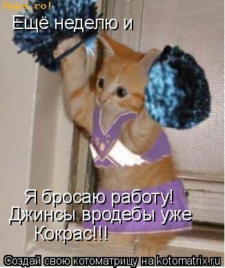 Ещё неделю и Я бросаю работу! Джинсы вродебы уже Кокрас!!!... Котоматрица: Ещё неделю и Я бросаю работу! Джинсы вродебы уже Кокрас!!!