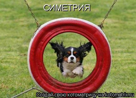 СИМЕТРИЯ... Котоматрица: СИМЕТРИЯ