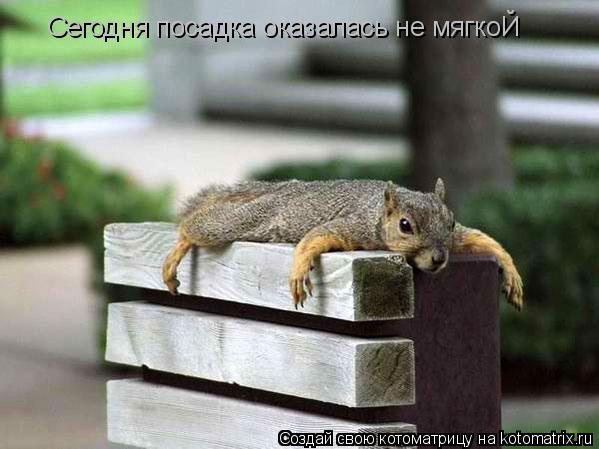 Сегодня посадка оказалась не мягкоЙ... Котоматрица: Сегодня посадка оказалась не мягкоЙ