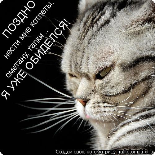 ПОЗДНО нести мне котлеты, сметану, тапки... Я УЖЕ ОБИДЕЛСЯ!... Котоматрица: ПОЗДНО нести мне котлеты, сметану, тапки... Я УЖЕ ОБИДЕЛСЯ!