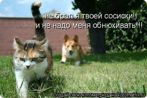 не брал я твоей сосиски!! и не надо меня обнюхивать!!!... Котоматрица: не брал я твоей сосиски!! и не надо меня обнюхивать!!!