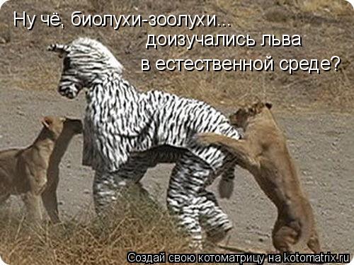 Ну чё, биолухи-зоолухи... доизучались льва в естественной среде?... Котоматрица: Ну чё, биолухи-зоолухи... доизучались льва в естественной среде?