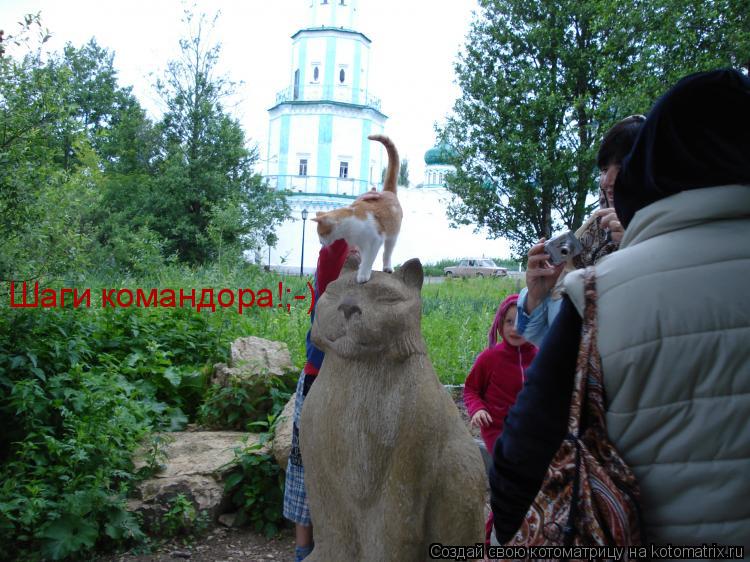 Шаги командора!;-)... Котоматрица: Шаги командора!;-)