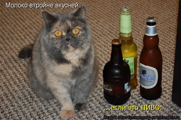 Молоко втройне вкусней... ...если это ПИВО!... Котоматрица: Молоко втройне вкусней... ...если это ПИВО!