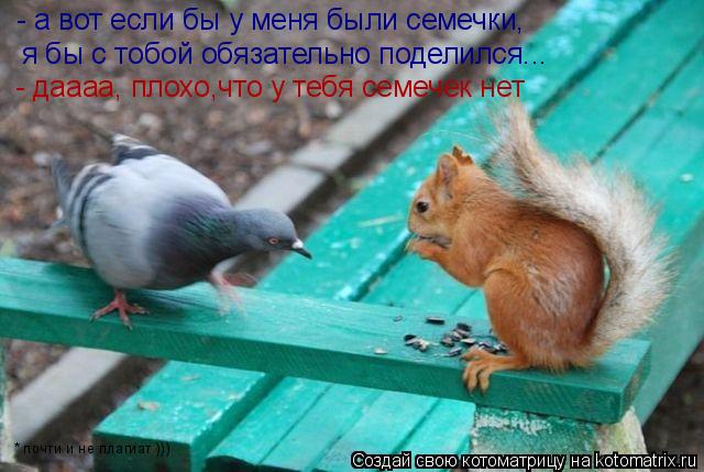 - а вот если бы у меня были семечки, я бы с тобой обязательно поделился... - даааа, плохо,что у тебя ... Котоматрица: - а вот если бы у меня были семечки, я бы с тобой обязательно поделился... - даааа, плохо,что у тебя семечек нет * почти и не плагиат )))