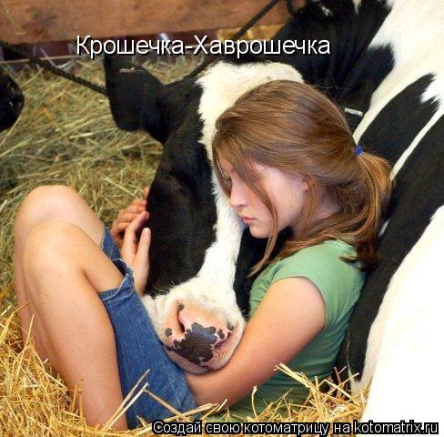 Крошечка-Хаврошечка... Котоматрица: Крошечка-Хаврошечка