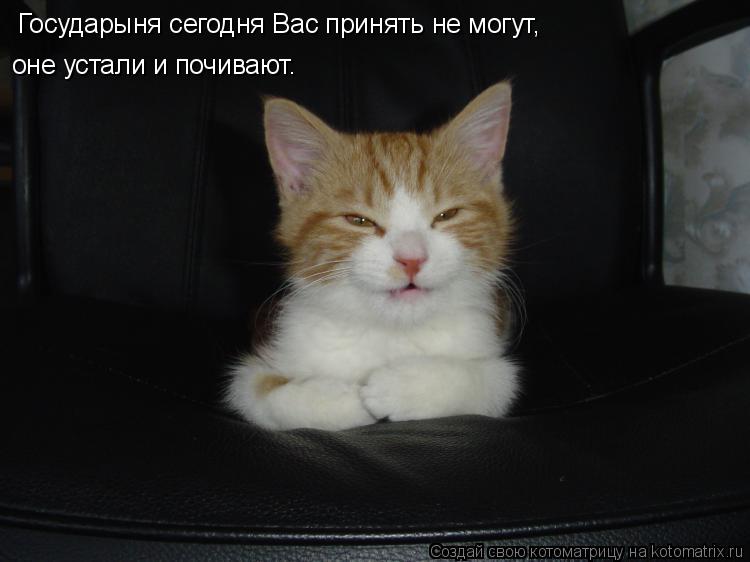 Котоматрица: Государыня сегодня Вас принять не могут,  оне устали и почивают.