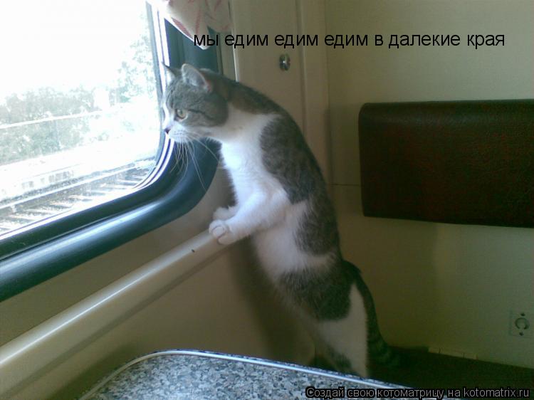 Котоматрица: мы едим едим едим в далекие края