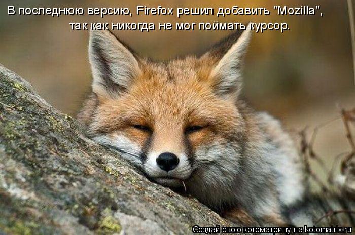 Котоматрица: В последнюю версию, Firefox решил добавить "Mozilla",  так как никогда не мог поймать курсор.