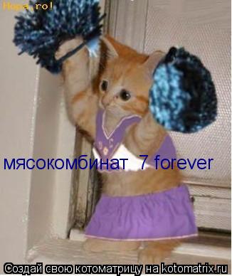 мясокомбинат №7 forever... Котоматрица: мясокомбинат №7 forever