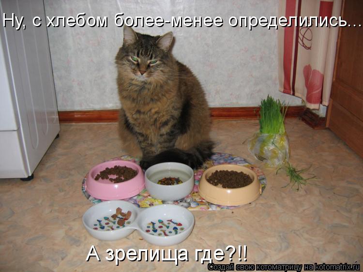 Ну, с хлебом более-менее определились... А зрелища где?!!... Котоматрица: Ну, с хлебом более-менее определились... А зрелища где?!!