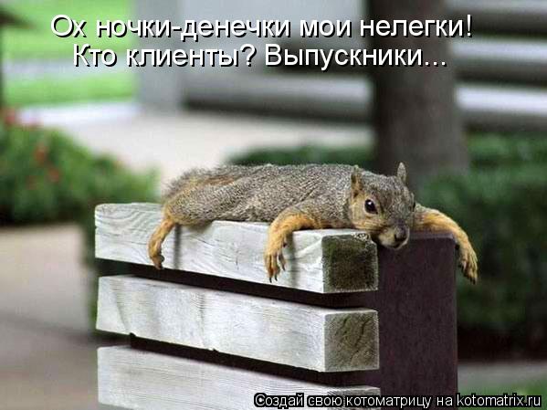 Котоматрица: Ох ночки-денечки мои нелегки! Кто клиенты? Выпускники...