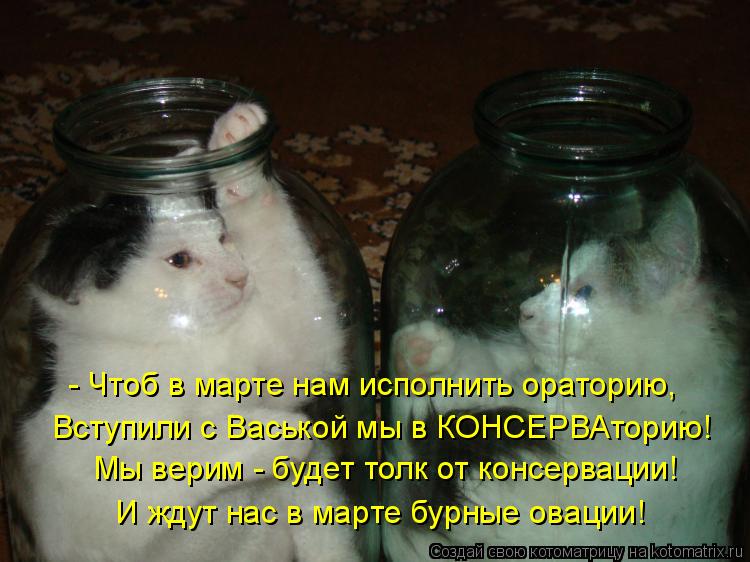 - Чтоб в марте нам исполнить ораторию, Вступили с Васькой мы в КОНСЕРВАторию! Мы верим - будет толк ... Котоматрица: - Чтоб в марте нам исполнить ораторию, Вступили с Васькой мы в КОНСЕРВАторию! Мы верим - будет толк от консервации! И ждут нас в марте бурные