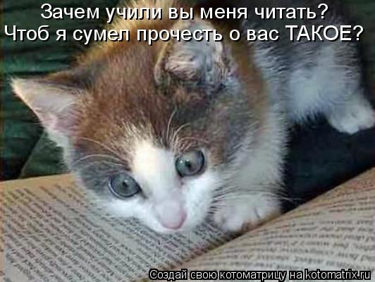 Зачем учили вы меня читать? Чтоб я сумел прочесть о вас ТАКОЕ?... Котоматрица: Зачем учили вы меня читать? Чтоб я сумел прочесть о вас ТАКОЕ?