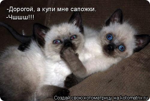 -Дорогой, а купи мне сапожки. -Чшшш!!!... Котоматрица: -Дорогой, а купи мне сапожки. -Чшшш!!!