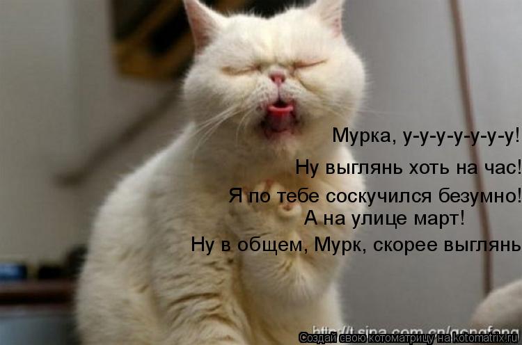 Ну выглянь хоть на час! Я по тебе соскучился безумно! Мурка, у-у-у-у-у-у-у! А на улице март! Ну в общ... Котоматрица: Ну выглянь хоть на час! Я по тебе соскучился безумно! Мурка, у-у-у-у-у-у-у! А на улице март! Ну в общем, Мурк, скорее выглянь!