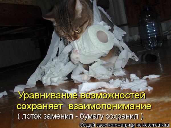 Уравнивание возможностей ( лоток заменил - бумагу сохранил ). сохраняет взаимопонимание... Котоматрица: Уравнивание возможностей ( лоток заменил - бумагу сохранил ). сохраняет взаимопонимание
