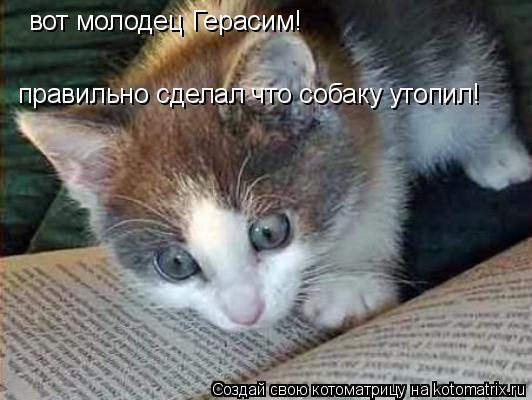 вот молодец Герасим! правильно сделал что собаку утопил!... Котоматрица: вот молодец Герасим! правильно сделал что собаку утопил!