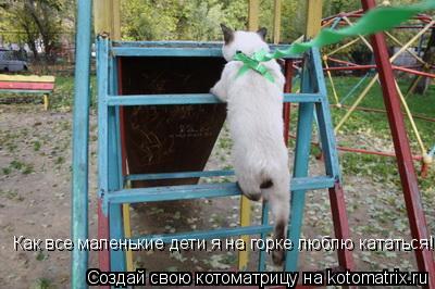 Как все маленькие дети я на горке люблю кататься!... Котоматрица: Как все маленькие дети я на горке люблю кататься!