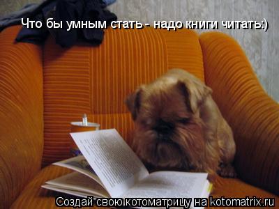 Что бы умным стать - надо книги читать:)... Котоматрица: Что бы умным стать - надо книги читать:)