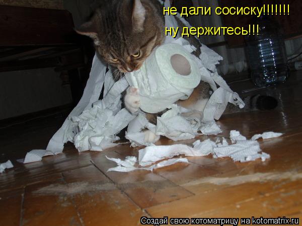 не дали сосиску!!!!!!! ну держитесь!!!... Котоматрица: не дали сосиску!!!!!!! ну держитесь!!!
