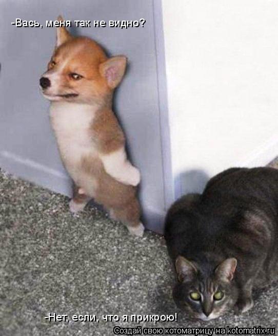 -Вась, меня так не видно? -Нет, если, что я прикрою!... Котоматрица: -Вась, меня так не видно? -Нет, если, что я прикрою!