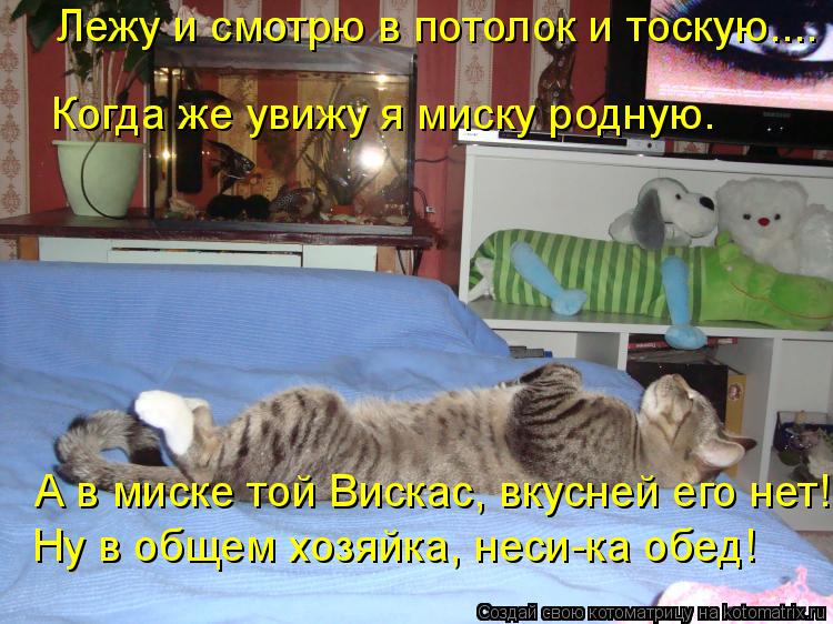 Лежу и смотрю в потолок и тоскую.... Когда же увижу я миску родную. А в миске той Вискас, вкусней его... Котоматрица: Лежу и смотрю в потолок и тоскую.... Когда же увижу я миску родную. А в миске той Вискас, вкусней его нет! Ну в общем хозяйка, неси-ка обед!