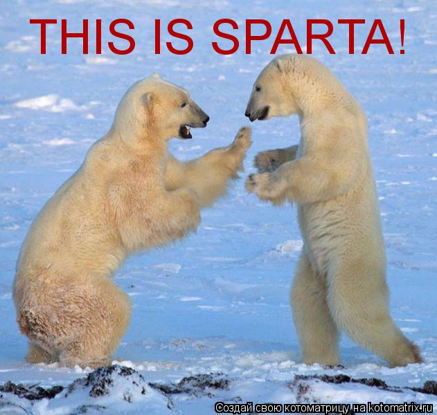 THIS IS SPARTA!... Котоматрица: THIS IS SPARTA!