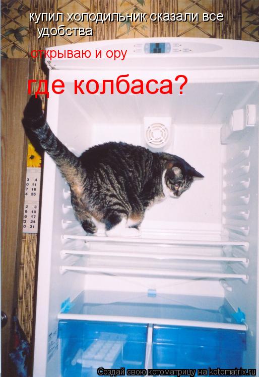 купил холодильник сказали все удобства открываю и ору где колбаса?... Котоматрица: купил холодильник сказали все удобства открываю и ору где колбаса?