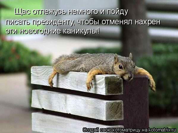 Щас отлежусь немного и пойду писать президенту, чтобы отменял нахрен эти новогодние каникулы!... Котоматрица: Щас отлежусь немного и пойду писать президенту, чтобы отменял нахрен эти новогодние каникулы!