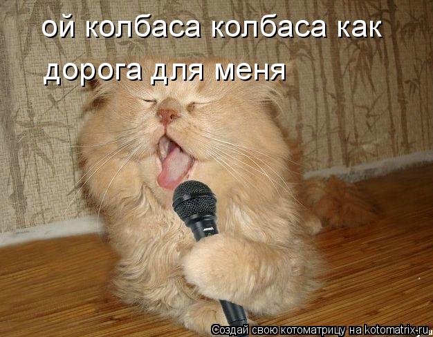 ой колбаса колбаса как дорога для меня... Котоматрица: ой колбаса колбаса как дорога для меня