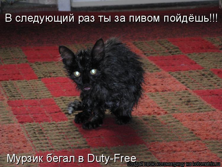 Котоматрица: В следующий раз ты за пивом пойдёшь!!! Мурзик бегал в Duty-Free