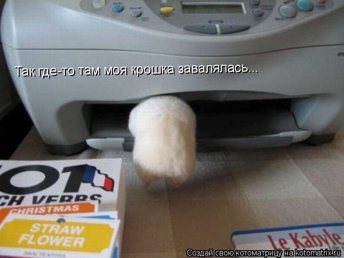 Так где-то там моя крошка завалялась...... Котоматрица: Так где-то там моя крошка завалялась...