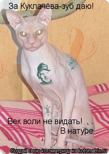 За Куклачёва-зуб даю! Век воли не видать! В натуре...... Котоматрица: За Куклачёва-зуб даю! Век воли не видать! В натуре...