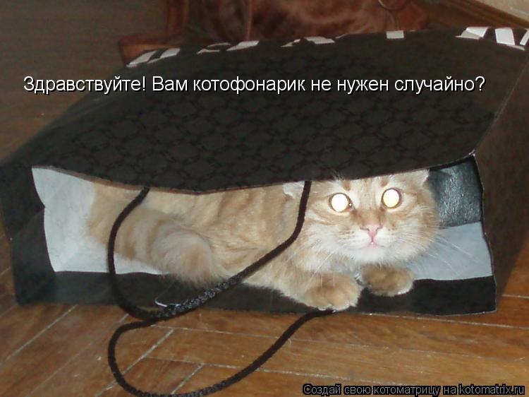Здравствуйте! Вам котофонарик не нужен случайно?... Котоматрица: Здравствуйте! Вам котофонарик не нужен случайно?