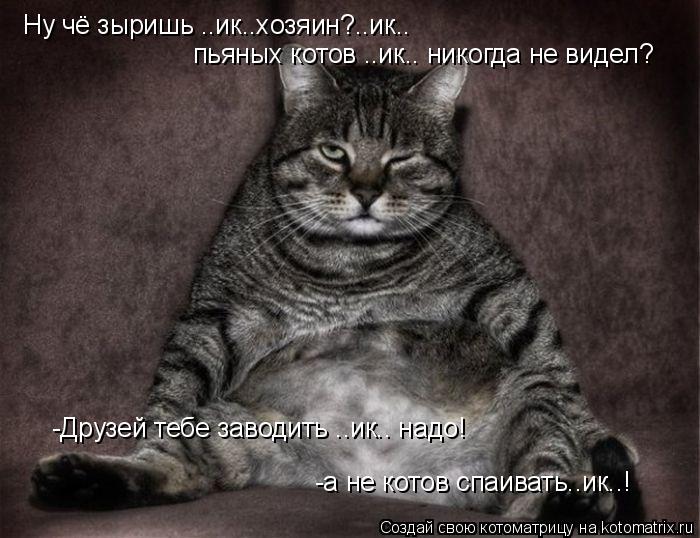 Ну чё зыришь ..ик..хозяин?..ик.. пьяных котов ..ик.. никогда не видел? -Друзей тебе заводить ..ик.. н... Котоматрица: Ну чё зыришь ..ик..хозяин?..ик.. пьяных котов ..ик.. никогда не видел? -Друзей тебе заводить ..ик.. надо! -а не котов спаивать..ик..!