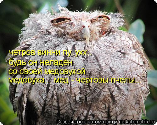 Котоматрица: будь он неладен  со своей медовухой медовуха... мед - чертовы пчелы... четров винни пу..ухх..