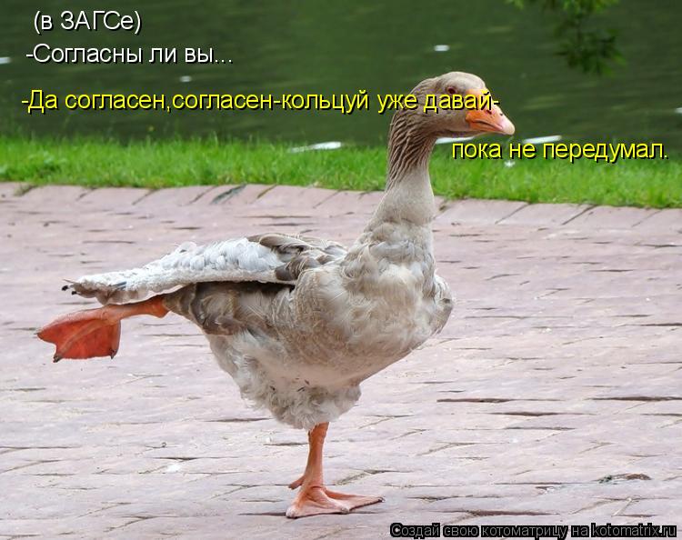 (в ЗАГСе) -Согласны ли вы... -Да согласен,согласен-кольцуй уже давай- пока не передумал.... Котоматрица: (в ЗАГСе) -Согласны ли вы... -Да согласен,согласен-кольцуй уже давай- пока не передумал.