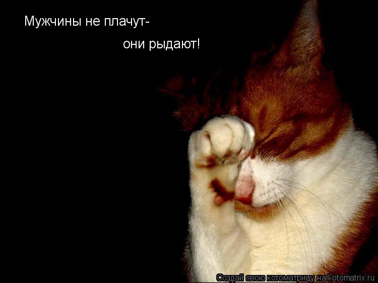 Мужчины не плачут- они рыдают!... Котоматрица: Мужчины не плачут- они рыдают!