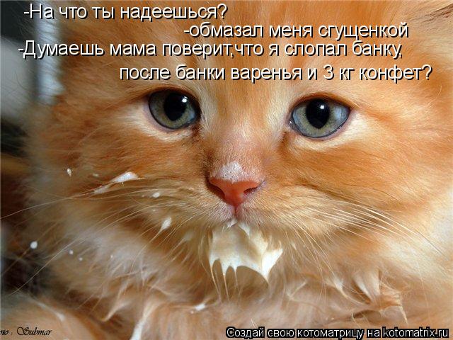 -На что ты надеешься? -обмазал меня сгущенкой -Думаешь мама поверит,что я слопал банку, после банки в... Котоматрица: -На что ты надеешься? -обмазал меня сгущенкой -Думаешь мама поверит,что я слопал банку, после банки варенья и 3 кг конфет?