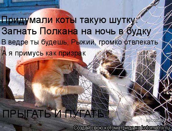 Загнать Полкана на ночь в будку Придумали коты такую шутку: В ведре ты будешь, Рыжий, громко отвлекат... Котоматрица: Загнать Полкана на ночь в будку Придумали коты такую шутку: В ведре ты будешь, Рыжий, громко отвлекать А я примусь как призрак ПРЫГАТЬ И ПУГА