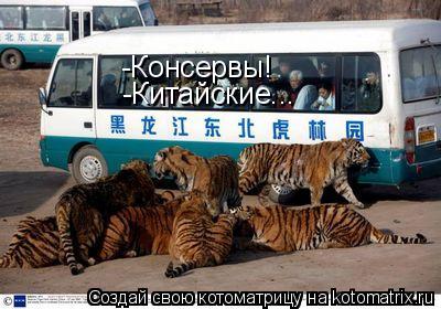 -Консервы! -Китайские...... Котоматрица: -Консервы! -Китайские...