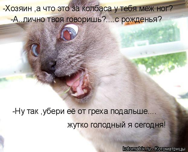-Хозяин ,а что это за колбаса у тебя меж ног? -А..лично твоя говоришь?....с рожденья? -Ну так ,убери ... Котоматрица: -Хозяин ,а что это за колбаса у тебя меж ног? -А..лично твоя говоришь?....с рожденья? -Ну так ,убери её от греха подальше.... жутко голодный я сегод
