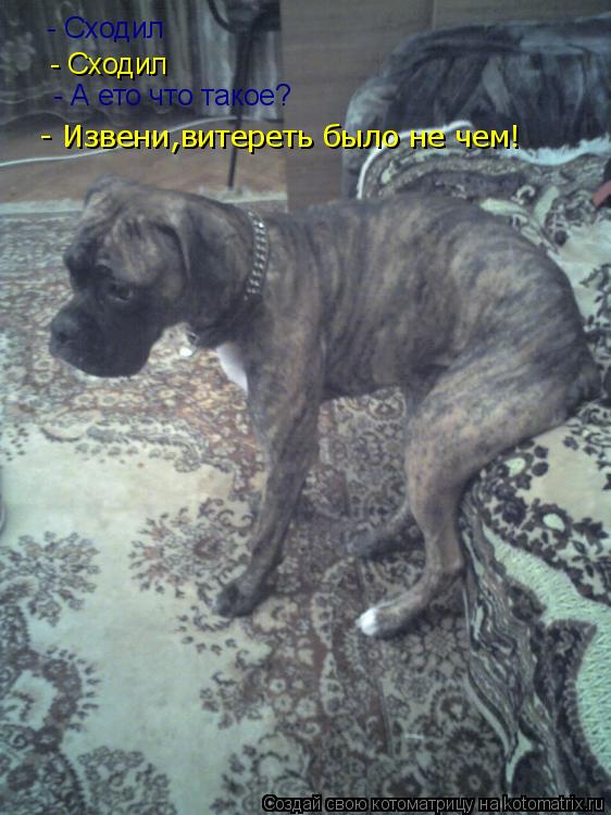 - Сходил - Сходил - А ето что такое? -Ну витереть было не чем! - Извени,витереть было не чем!... Котоматрица: - Сходил - Сходил - А ето что такое? -Ну витереть было не чем! - Извени,витереть было не чем!